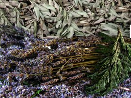 large rosemary lavender sage bulk